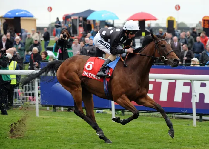 Framed Print : Izzi Top Ridden By William Buick Dante Festival Framed Print : Izzi Top Ridden By William Buick Dante Festival