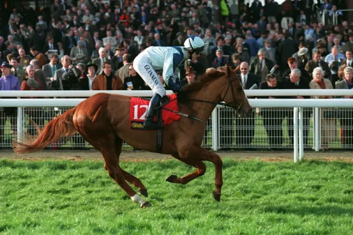 Framed Print : Jathib Ridden By A.P.Mccoy 23 March 1999 Date: 23 March 1999 Framed Print : Jathib Ridden By A.P.Mccoy 23 March 1999 Date: 23 March 1999