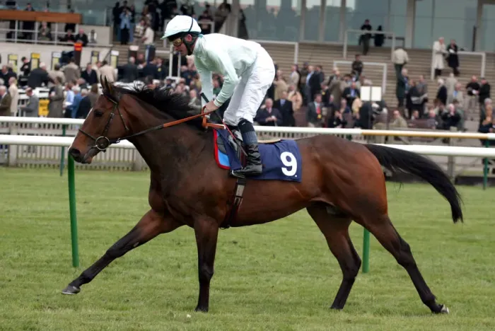 Framed Print : Jedburgh Ridden By M.J.Kinane Newmarket Craven Meeting 2005 Newmarket Racecourse Framed Print : Jedburgh Ridden By M.J.Kinane Newmarket Craven Meeting 2005 Newmarket Racecourse