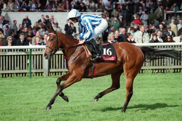 Framed Print : Jezebel Ridden By R.Mullen Newmarket Guineas Festival Newmarket