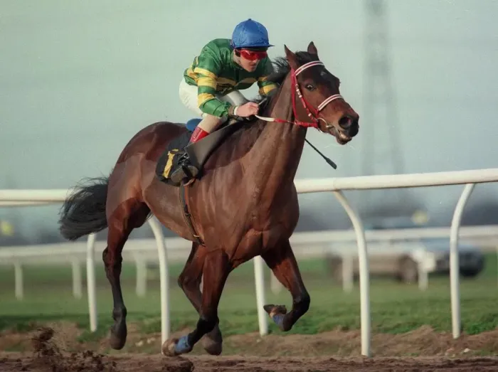 Framed Print : Jibereen Ridden By D.Harrison 07 March 1997 Date: 07 March 1997 Framed Print : Jibereen Ridden By D.Harrison 07 March 1997 Date: 07 March 1997