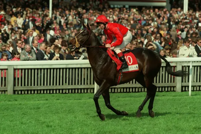 Framed Print : Jimmy Too Ridden By J.Fortune 05 May 1998 Date: 05 May 1998 Framed Print : Jimmy Too Ridden By J.Fortune 05 May 1998 Date: 05 May 1998