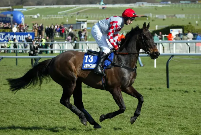 Framed Print : Joes Edge Ridden By B.Harding Cheltenham Festival 2005 Cheltenham Racecourse Framed Print : Joes Edge Ridden By B.Harding Cheltenham Festival 2005 Cheltenham Racecourse
