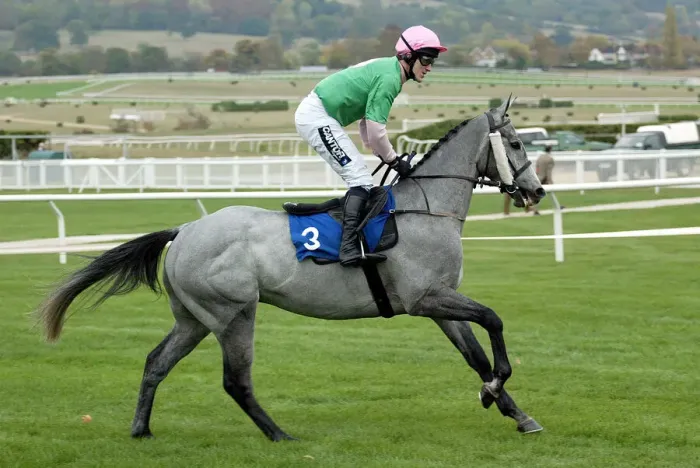 Framed Print : Jollyolly Ridden By A.P.Mccoy Cheltenham Races Cheltenham Racecourse Framed Print : Jollyolly Ridden By A.P.Mccoy Cheltenham Races Cheltenham Racecourse