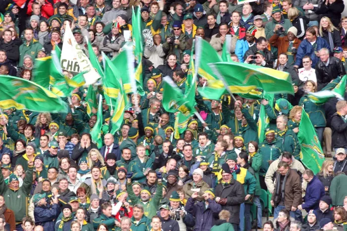 Framed Print : Jubilant Springbok Fans Framed Print : Jubilant Springbok Fans