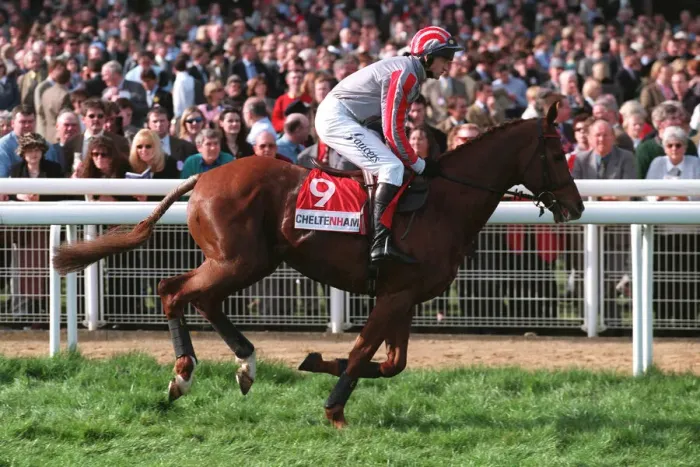 Framed Print : Kadastrof Ridden By A.Thornton 23 March 1999 Date: 23 March 1999 Framed Print : Kadastrof Ridden By A.Thornton 23 March 1999 Date: 23 March 1999