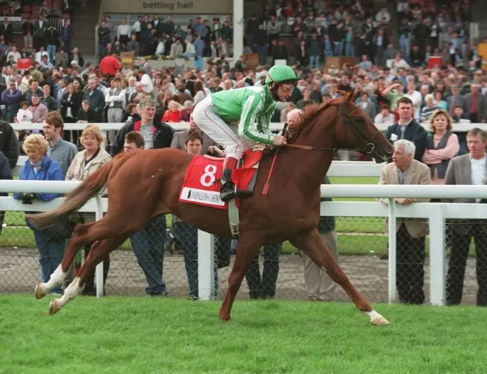 Framed Print : Kammtarra Ridden By Dean Mckeown 28 May 1996 Date: 28 May 1996 Framed Print : Kammtarra Ridden By Dean Mckeown 28 May 1996 Date: 28 May 1996