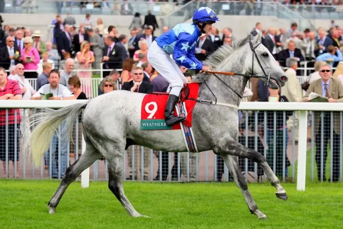 Framed Print : Kasthari Ridden By Tom Eaves York Ebor Festival 2006 York Racecourse Framed Print : Kasthari Ridden By Tom Eaves York Ebor Festival 2006 York Racecourse