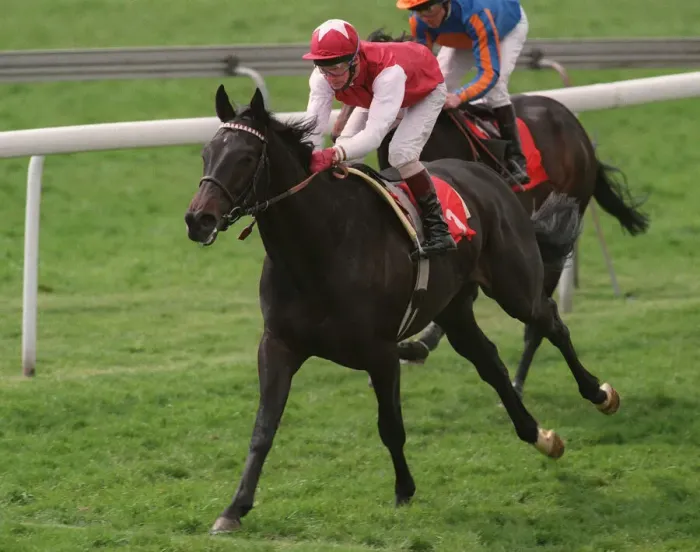 Framed Print : Kazaki Wins Wood Ditton Stks Framed Print : Kazaki Wins Wood Ditton Stks