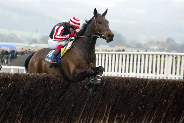 Framed Print : Kelami Ridden By R.Thornton Cheltenham Festival 2005 Cheltenham Racecourse Framed Print : Kelami Ridden By R.Thornton Cheltenham Festival 2005 Cheltenham Racecourse