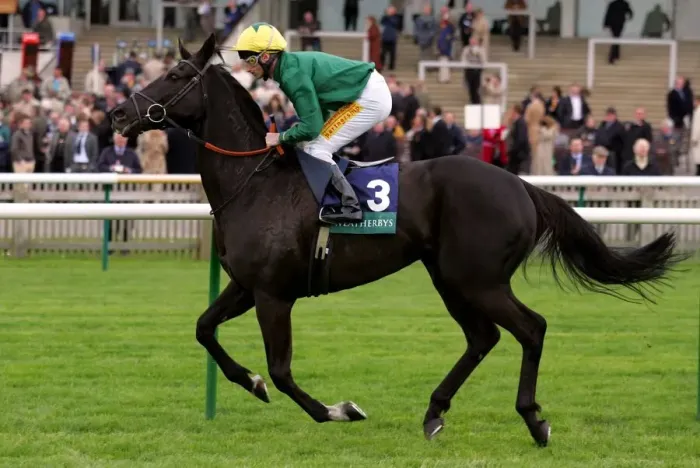 Framed Print : Kew Green Ridden By Dane O Neil Craven Meeting Framed Print : Kew Green Ridden By Dane O Neil Craven Meeting