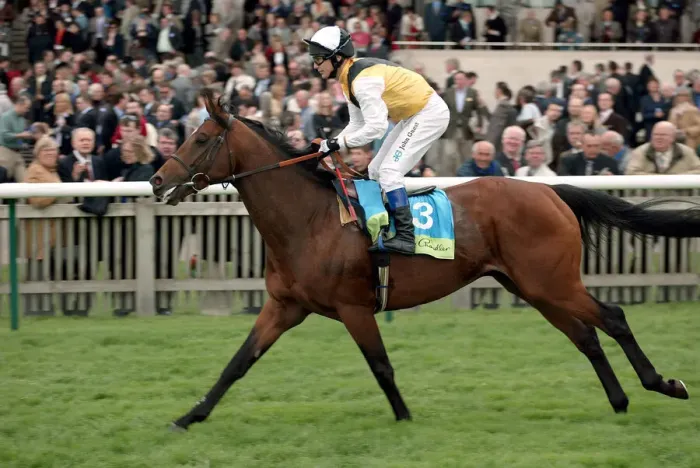 Framed Print : Kier Park Ridden By P.Robinson The Sagitta Guineas Festival 2 Newmarket Racecourse Framed Print : Kier Park Ridden By P.Robinson The Sagitta Guineas Festival 2 Newmarket Racecourse
