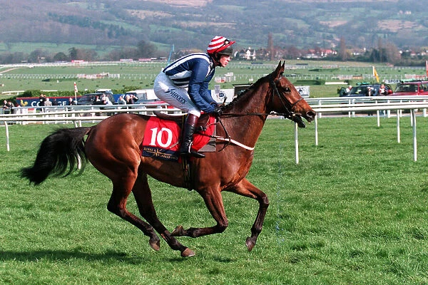 King Road Ridden By C.Llewellyn 23 March 1999 Date: 23 March 1999