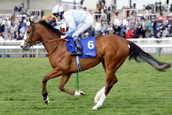 Framed Print : Kompete Ridden By Dane O Neil Newmarket Craven Meeting 2007 Rowley Mile Course Framed Print : Kompete Ridden By Dane O Neil Newmarket Craven Meeting 2007 Rowley Mile Course