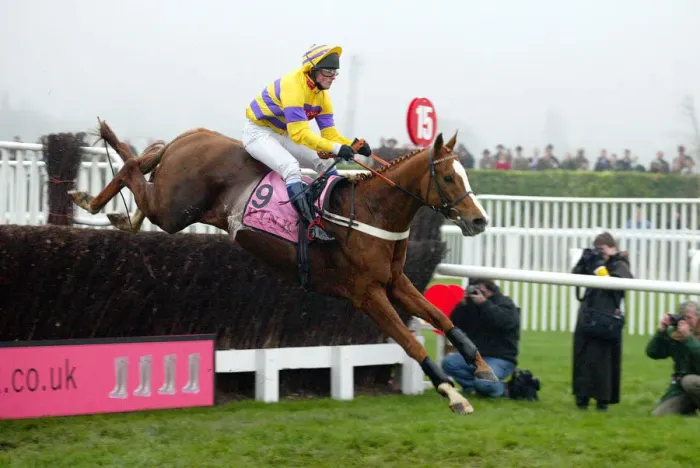 Framed Print : Korakor Ridden By D.R.Dennis The Open 2002 Cheltenham Racecourse Framed Print : Korakor Ridden By D.R.Dennis The Open 2002 Cheltenham Racecourse