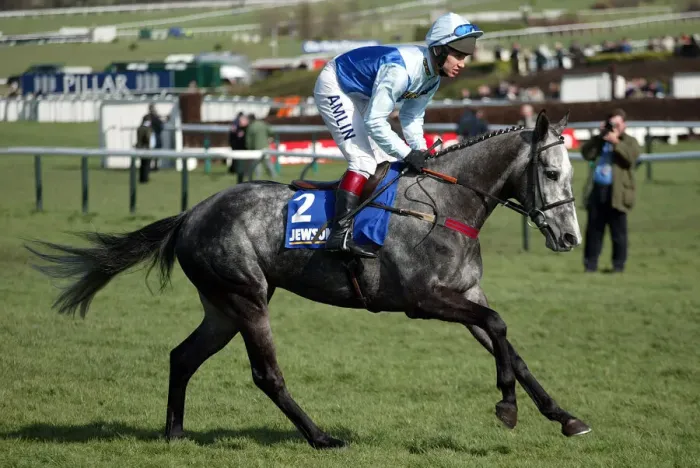 Framed Print : Lacdoudal Ridden By R.Johnson Cheltenham Festival 2005 Cheltenham Racecourse Framed Print : Lacdoudal Ridden By R.Johnson Cheltenham Festival 2005 Cheltenham Racecourse