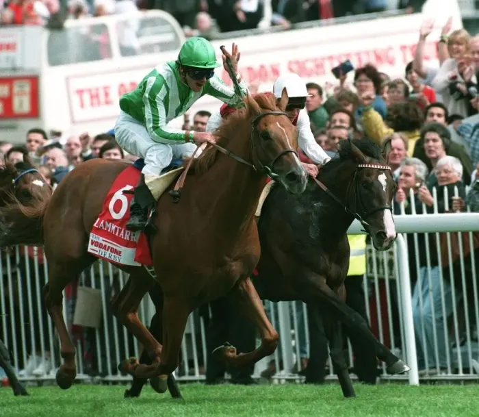 Framed Print : Lammtarra Wins 95 Epsom Derby Framed Print : Lammtarra Wins 95 Epsom Derby