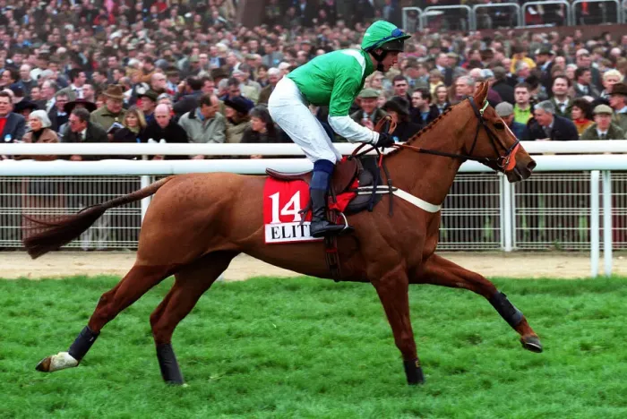 Framed Print : Ledham Ridden By N.Fehily 14 March 2000 Date: 14 March 2000 Framed Print : Ledham Ridden By N.Fehily 14 March 2000 Date: 14 March 2000