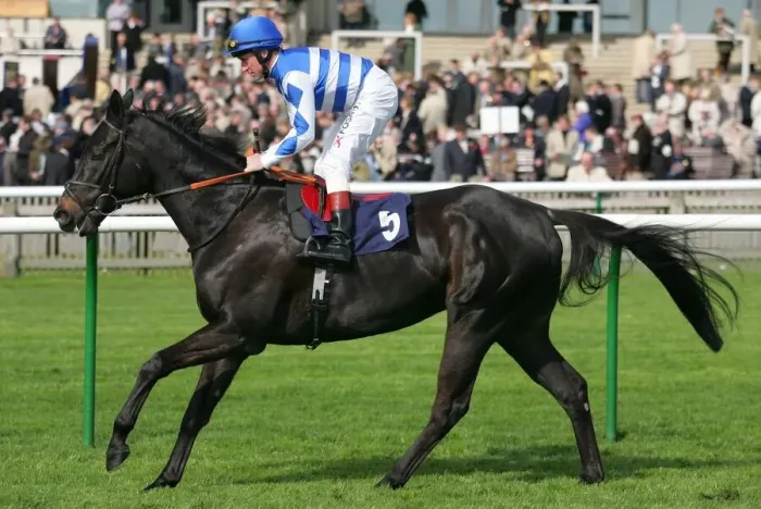 Framed Print : Les Arcs Ridden By J.F.Egan Craven Meeting, Newmarket Rowley Mile Course Framed Print : Les Arcs Ridden By J.F.Egan Craven Meeting, Newmarket Rowley Mile Course