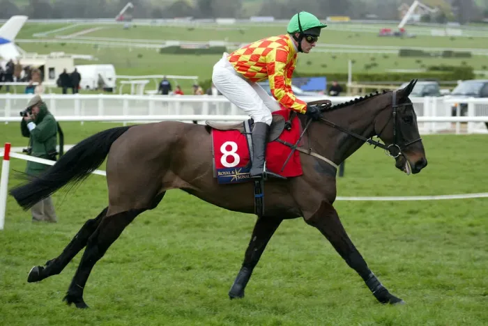 Framed Print : Lord Sam Ridden By W.Marston Cheltenham Festival 2003 Cheltenham Racecourse