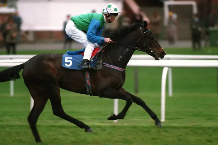 Framed Print : Loskay Ridden By John Reid 27 April 1994 Date: 27 April 1994 Framed Print : Loskay Ridden By John Reid 27 April 1994 Date: 27 April 1994