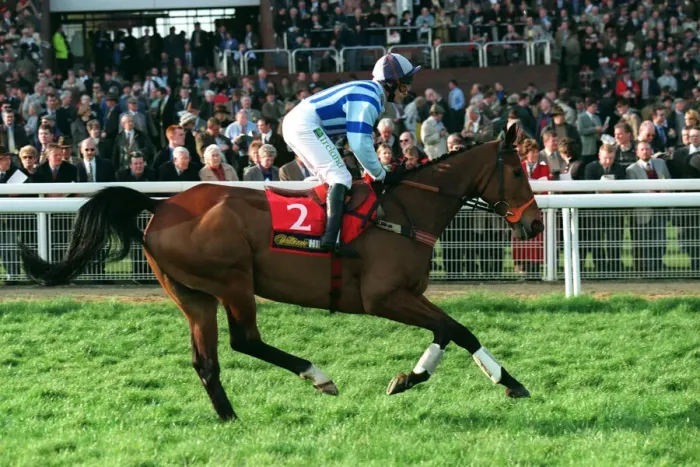 Framed Print : Macgeorge Ridden By A.Maguire 23 March 1999 Date: 23 March 1999 Framed Print : Macgeorge Ridden By A.Maguire 23 March 1999 Date: 23 March 1999