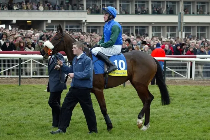 Framed Print : Macs Joy Ridden By B.Geraghty Cheltenham Festival 2005 Cheltenham Racecourse