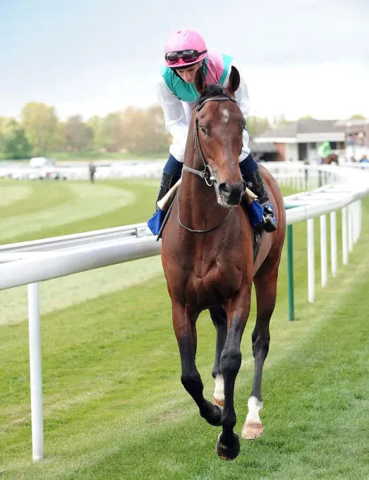 Framed Print : Main Aim Ridden By Ryan Moore Dante Festival, York Racecourse York Racecourse Framed Print : Main Aim Ridden By Ryan Moore Dante Festival, York Racecourse York Racecourse