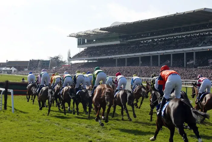 Framed Print : Main Stand Cheltenham Racecorse Framed Print : Main Stand Cheltenham Racecorse