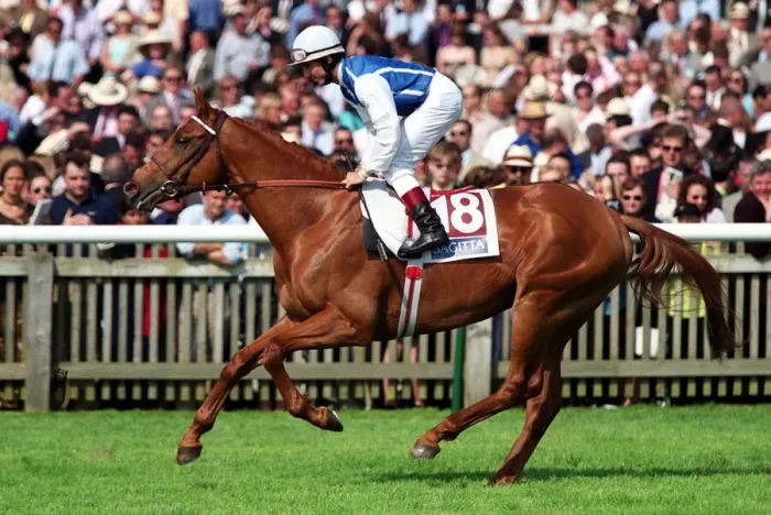 Framed Print : Only Man Ridden By O.Doleuze 06 May 2000 Date: 06 May 2000 Framed Print : Only Man Ridden By O.Doleuze 06 May 2000 Date: 06 May 2000