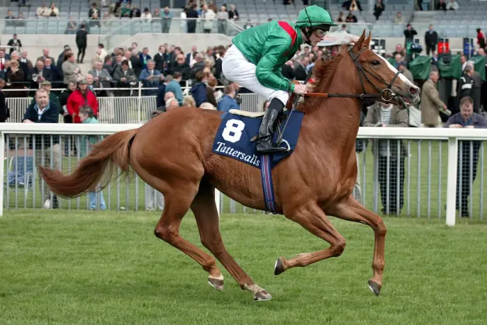 Framed Print : Mananiyya Ridden By P.J.Smullen York Racecourse May Meeting 20 York Racecourse Framed Print : Mananiyya Ridden By P.J.Smullen York Racecourse May Meeting 20 York Racecourse