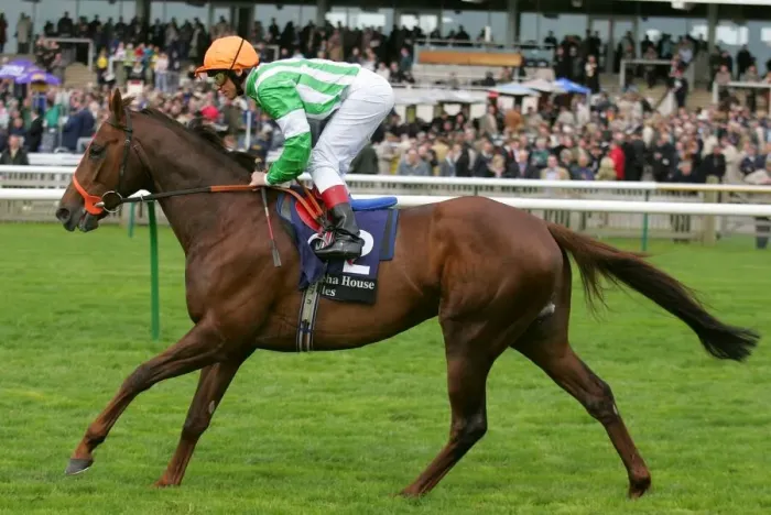 Framed Print : Manston Ridden By L.Dettori Craven Meeting, Newmarket Rowley Mile Course Framed Print : Manston Ridden By L.Dettori Craven Meeting, Newmarket Rowley Mile Course