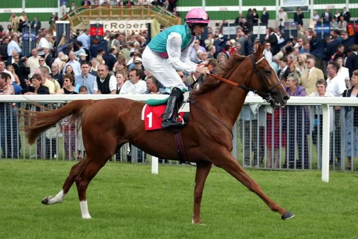 Framed Print : Marani Ridden By R.Hughes York Races York Racecourse, York 22 August 2002 Date Framed Print : Marani Ridden By R.Hughes York Races York Racecourse, York 22 August 2002 Date