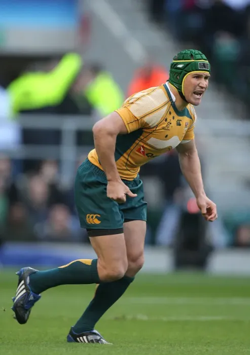 Framed Print : Matt Giteau