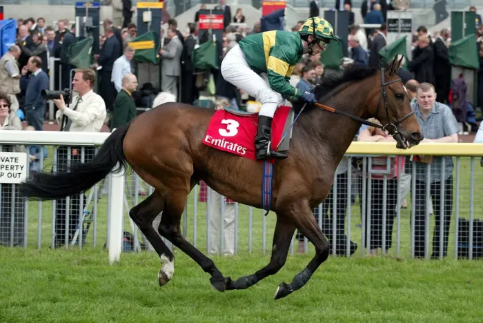 Framed Print : Millenary Ridden By T.Quinn York May Meeting 2004 York Racecourse Framed Print : Millenary Ridden By T.Quinn York May Meeting 2004 York Racecourse