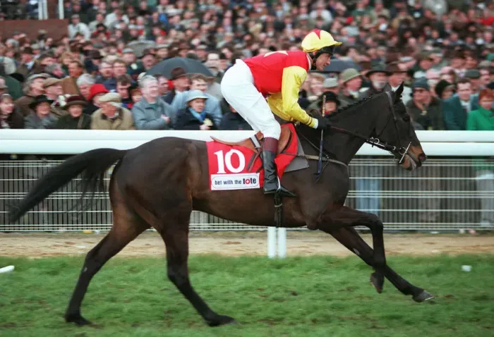 Framed Print : Minnehoma Ridden By Richard Dunwoody 21 March 1995 Date: 21 March 1995
