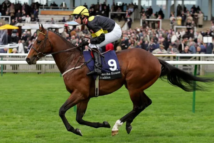 Framed Print : Misu Bond Ridden By A.Culhane Craven Meeting, Newmarket Rowley Mile Course Framed Print : Misu Bond Ridden By A.Culhane Craven Meeting, Newmarket Rowley Mile Course