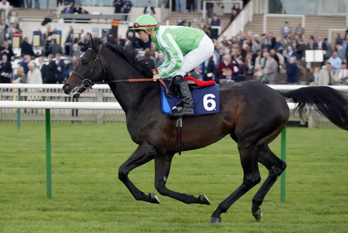 Framed Print : Moonshaft Ridden By S.Drowne Newmarket Craven Meeting Newmarket Racecourse Framed Print : Moonshaft Ridden By S.Drowne Newmarket Craven Meeting Newmarket Racecourse