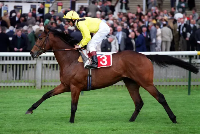 Framed Print : Morshdi Ridden By L.Dettori Newmarket Guineas Festival Newmarket Framed Print : Morshdi Ridden By L.Dettori Newmarket Guineas Festival Newmarket