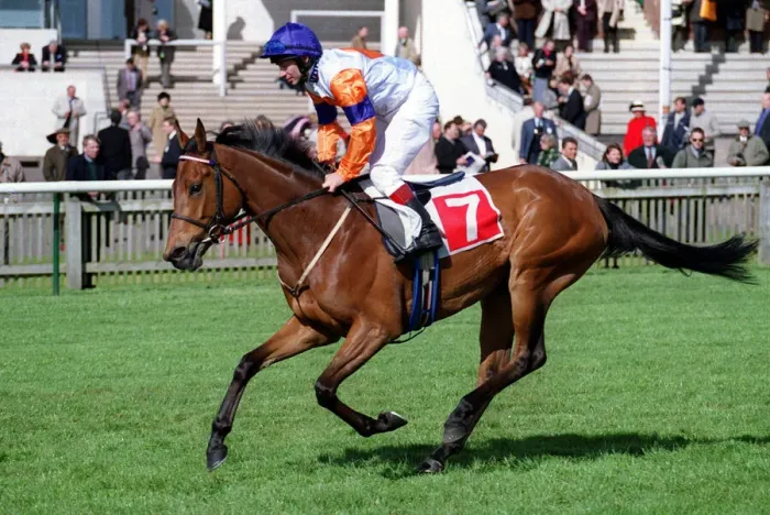 Framed Print : Moselle Ridden By T.Quinn Newmarket Guineas Festival Newmarket Framed Print : Moselle Ridden By T.Quinn Newmarket Guineas Festival Newmarket
