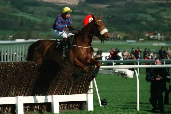 Framed Print : Mubadir Ridden By P.Carberry 08 May 1994 Date: 08 May 1994 Framed Print : Mubadir Ridden By P.Carberry 08 May 1994 Date: 08 May 1994