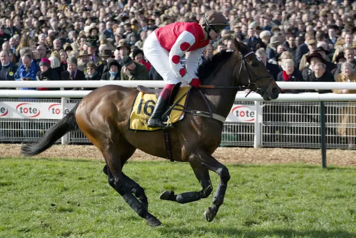 Framed Print : Mughas Ridden By R.Thornton Cheltenham Festival 2003 Cheltenham Racecourse Framed Print : Mughas Ridden By R.Thornton Cheltenham Festival 2003 Cheltenham Racecourse
