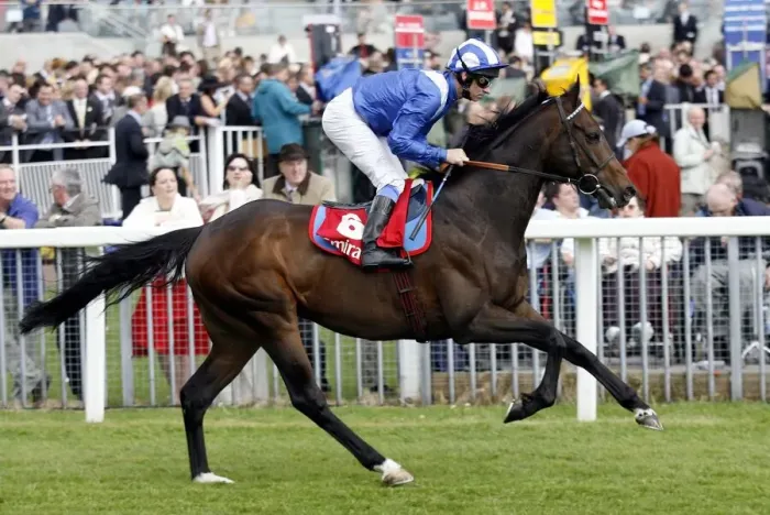 Framed Print : Munsef Ridden By R.Hills May Festival Meeting York 2007 The Knavesmire Framed Print : Munsef Ridden By R.Hills May Festival Meeting York 2007 The Knavesmire