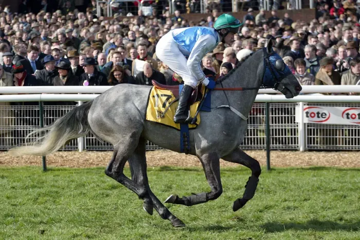 Framed Print : Mutineer Ridden By K.A.Kelly Cheltenham Festival 2003 Cheltenham Racecourse Framed Print : Mutineer Ridden By K.A.Kelly Cheltenham Festival 2003 Cheltenham Racecourse