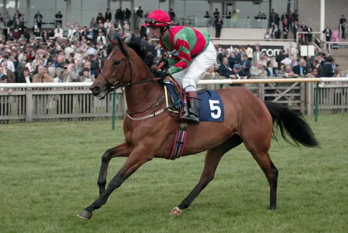 Framed Print : Najaaba Ridden By B.Reily Newmarket Guineas Festival 04 Newmarket Racecourse Framed Print : Najaaba Ridden By B.Reily Newmarket Guineas Festival 04 Newmarket Racecourse
