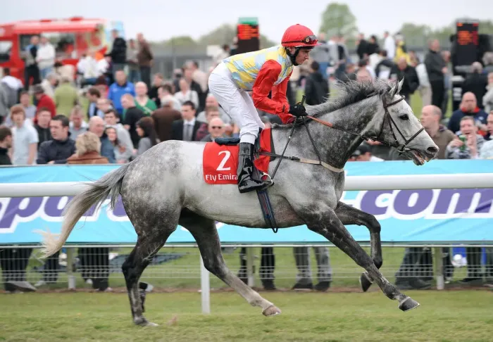 Framed Print : Nanton Ridden By Daniel Tudhope Dante Festival Framed Print : Nanton Ridden By Daniel Tudhope Dante Festival