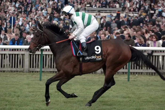Framed Print : Nataliya Ridden By S.Sanders Newmarket Guineas Festival 04 Newmarket Racecourse Framed Print : Nataliya Ridden By S.Sanders Newmarket Guineas Festival 04 Newmarket Racecourse