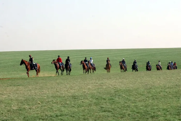 Framed Print : Newmarket Gallops