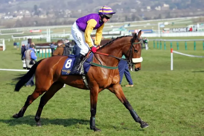 Framed Print : Nicanor Ridden By P.Carberry Cheltenham Festival 2006 Cheltenham Racecourse