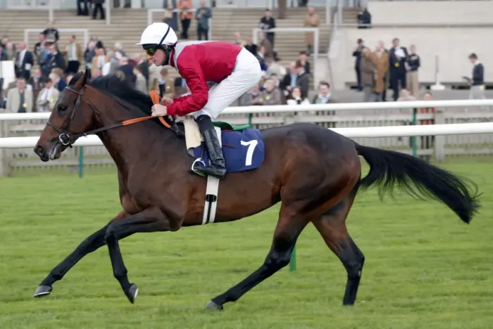 Framed Print : Nietzsche Ridden By R.Hughes Newmarket Craven Meeting Newmarket Racecourse Framed Print : Nietzsche Ridden By R.Hughes Newmarket Craven Meeting Newmarket Racecourse